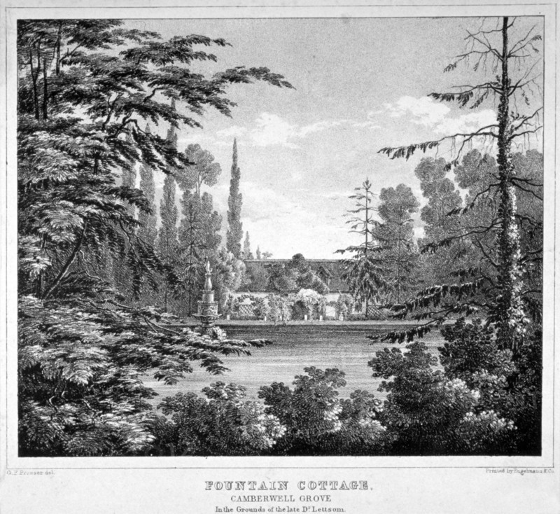 Fountain Cottage, Camberwell Grove, Camberwell, London, c1825. Artist: Anon