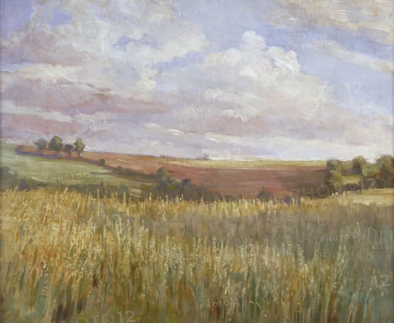 The Cornfield', c1864-1930. Artist: Anna Lea Merritt