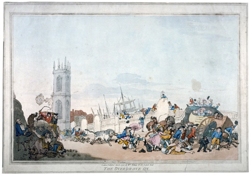 'The Overdrove ox', 1790. Artist: Anon