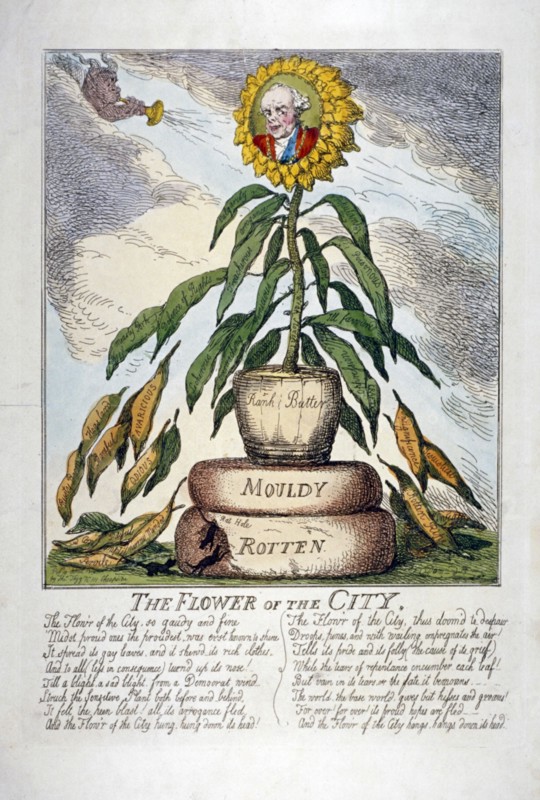 'The Flower of the City', 1809. Artist: Thomas Rowlandson
