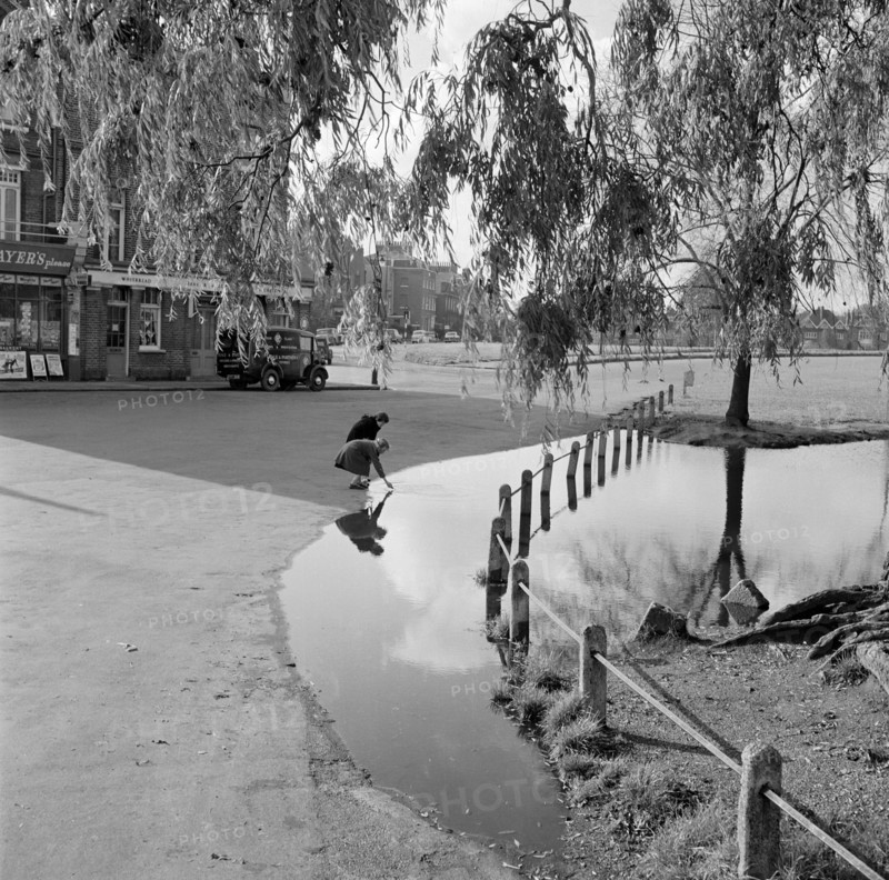 Hare and Billet Pond, Blackheath, London, 1955-1965