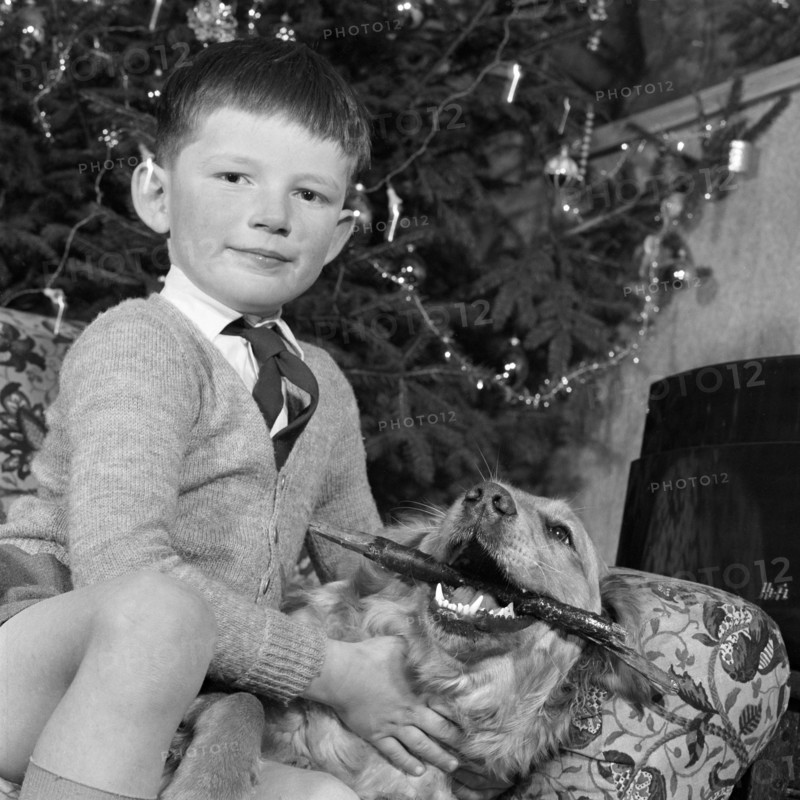 Child, dog and Christmas tree, December 1960