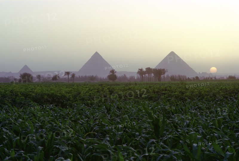 Pyramids of Giza at sunset, Egypt. Artist: Dr Stephen Coyne