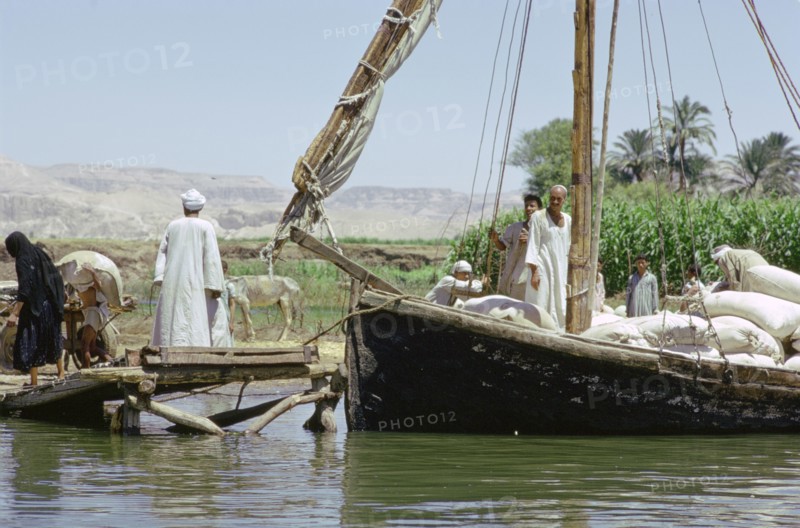 Felucca on the River Nile, Egypt. Artist: Tony Evans