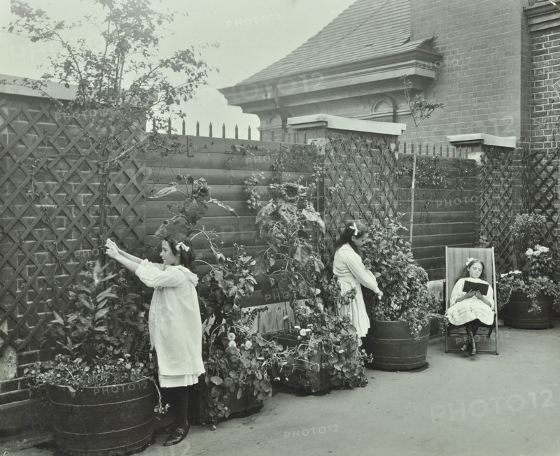 Girls gardening and reading in a roof top garden, White Lion Street School, London, 1912. Artist: Unknown.