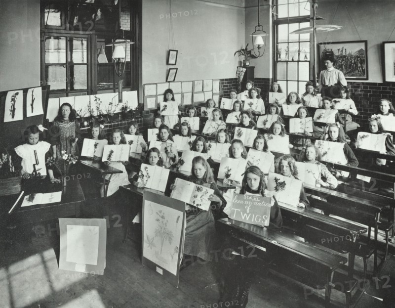 Nature lesson, Albion Street Girls School, Rotherhithe, London, 1908. Artist: Unknown.