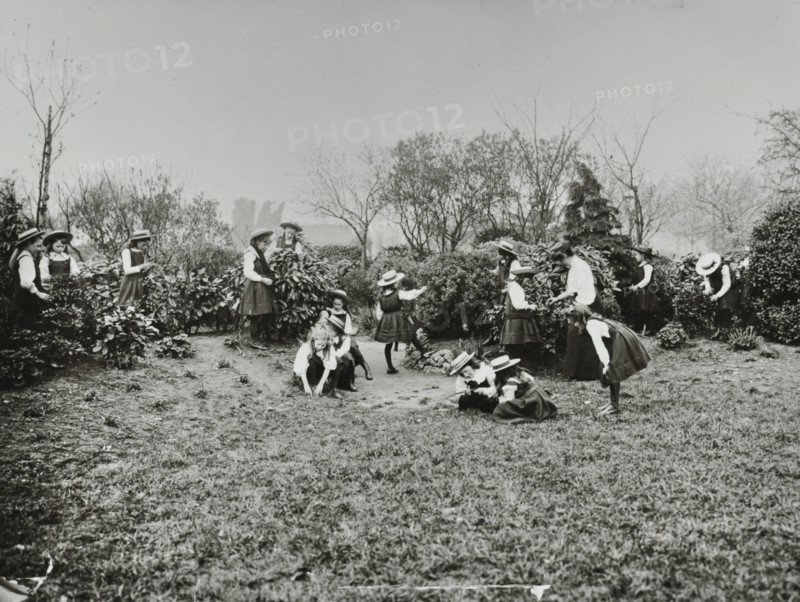 A class from Fulham County Secondary School having a nature lesson, London, 1908. Artist: Unknown.