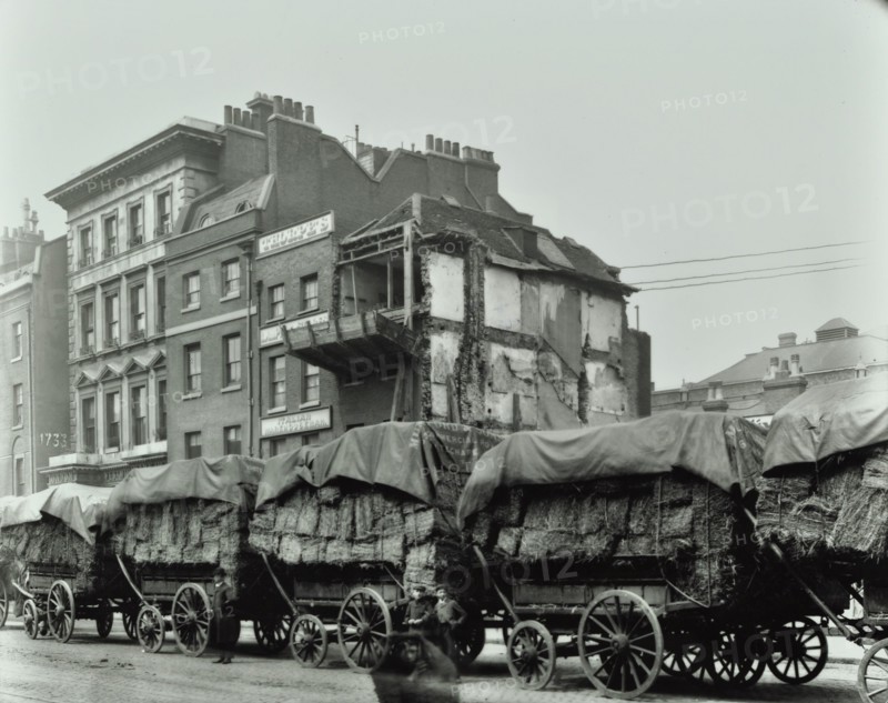 Hay wagons, Whitechapel High Street, London, 1903. Artist: Unknown.