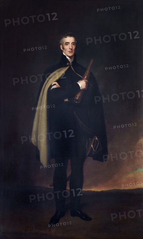 Portrait of the Duke of Wellington, 1860