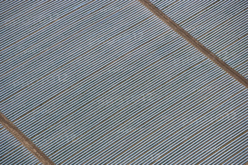 Polytunnels at Wood Bevington Farm, Salford Priors, Warwickshire, 2007