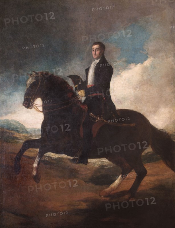 Equestrian portrait of the Duke of Wellington, 1812