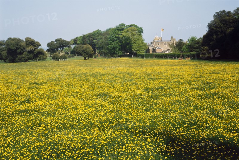 Walmer Castle Meadow, Kent