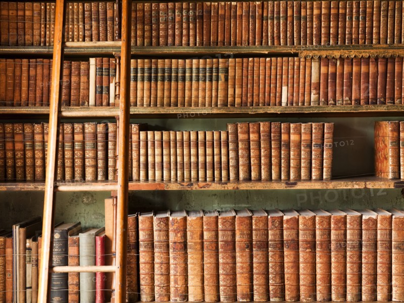 The library, Brodsworth Hall, South Yorkshire