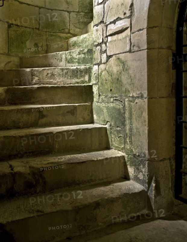 Detail of a spiral staircase, Old Wardour Castle, near Tisbury, Wiltshire, 2010