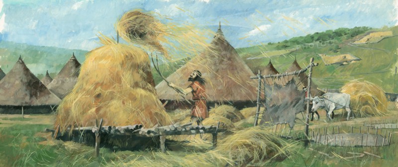 Grimspound, Bronze Age, (c1990-2010)