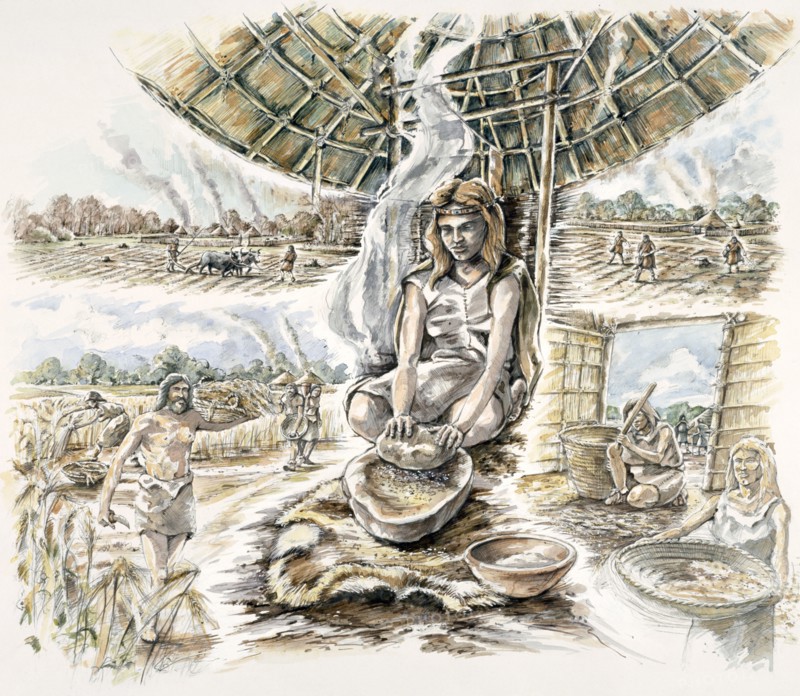 Neolithic Grain Production, (c1990-2010)