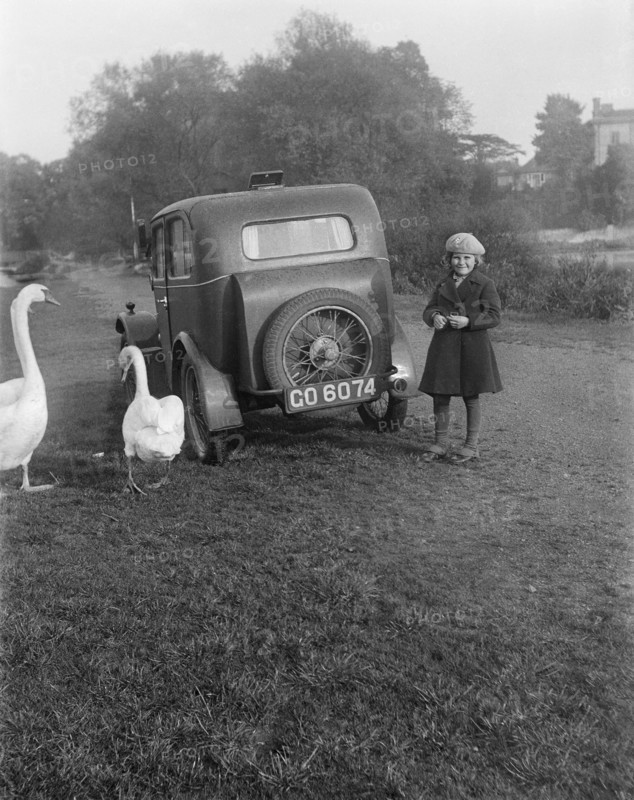 A young girl next to a motor car, probably an Austin 7, with two swans, c1930s