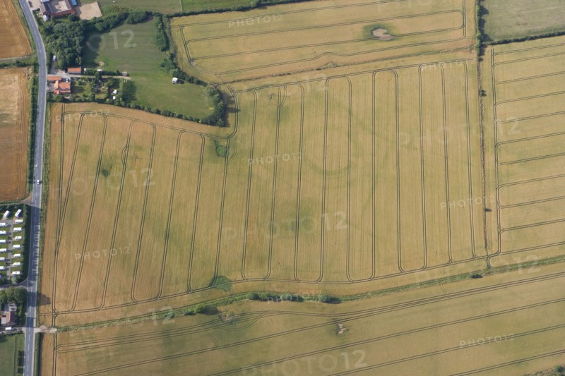 Neolithic henge reused as a Bronze Age ringwork in Hornsea, East Yorkshire, c2010