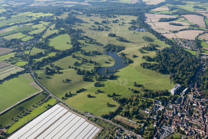 Petworth Park, West Sussex, c2015
