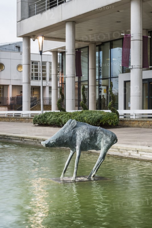Boar', the Water Gardens, Harlow, Essex, 2015