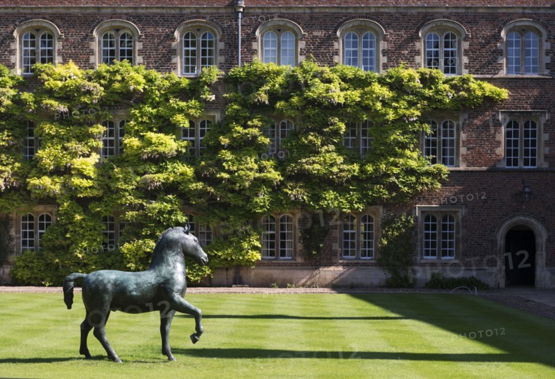 Bronze horse, sculpture by Barry Flanagan, Jesus College, Cambridge, Cambridgeshire, 2015