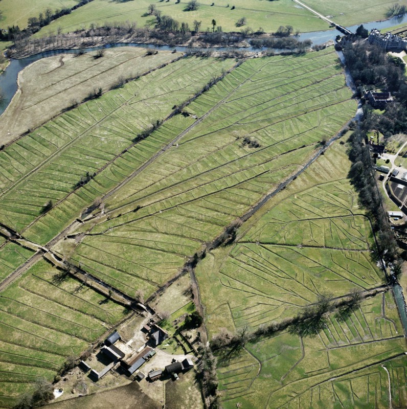 Water meadows, Lower Farm, Britford, Wiltshire, 2006