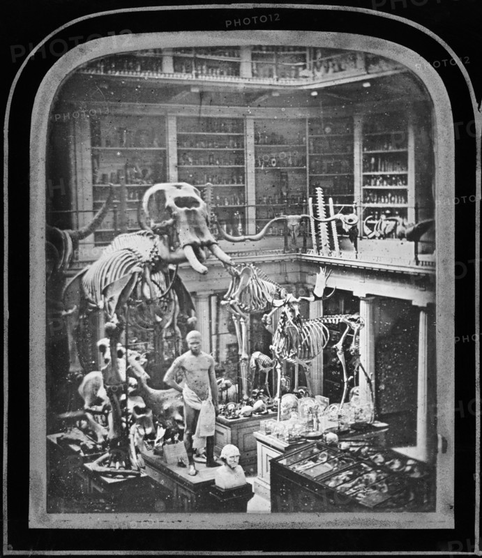 Royal College of Surgeons, Lincoln's Inn Fields, Holborn, London, 1852