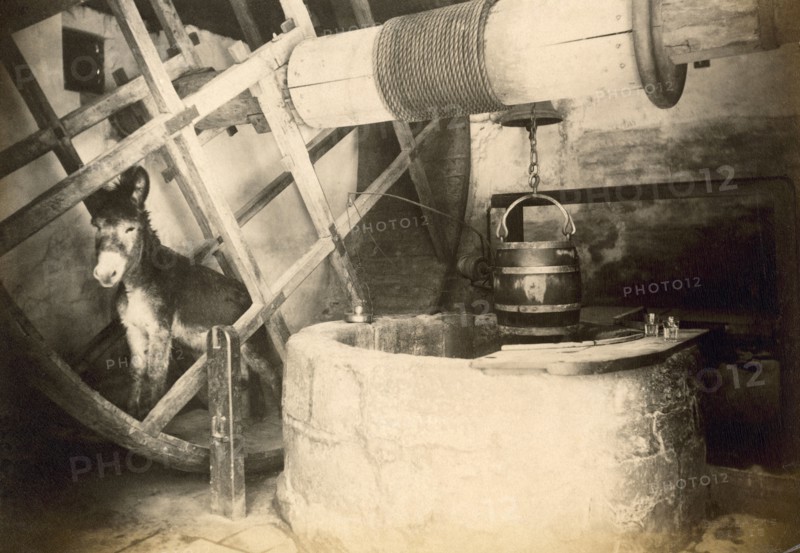 Donkey in the Well House, Carisbrooke Castle, Isle of Wight, c1850-c1900