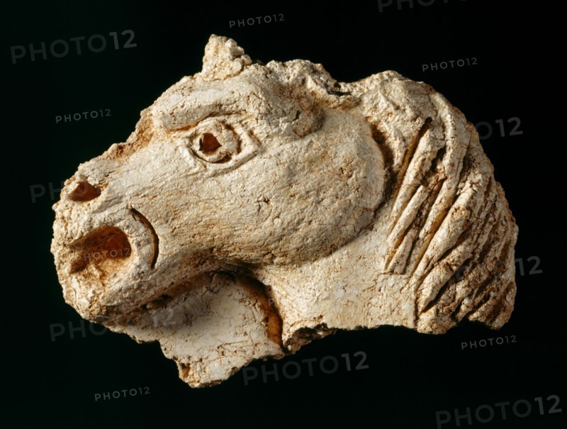 Plaster fragment of a horse's head from one of the ceilings, Berry Pomeroy Castle, Devon