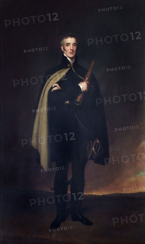 Portrait of the Duke of Wellington, 1860