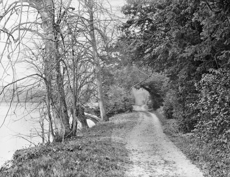 Track on the bank of the River Thames, Cliveden, Taplow, Buckinghamshire, 1883