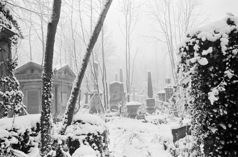 Highgate Cemetery, Hampstead, London, winter 1982