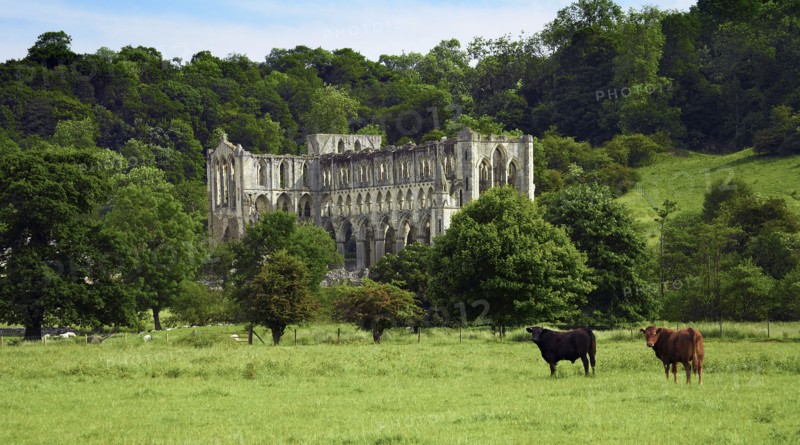 Rievaulx Abbey, North Yorkshire, 2006