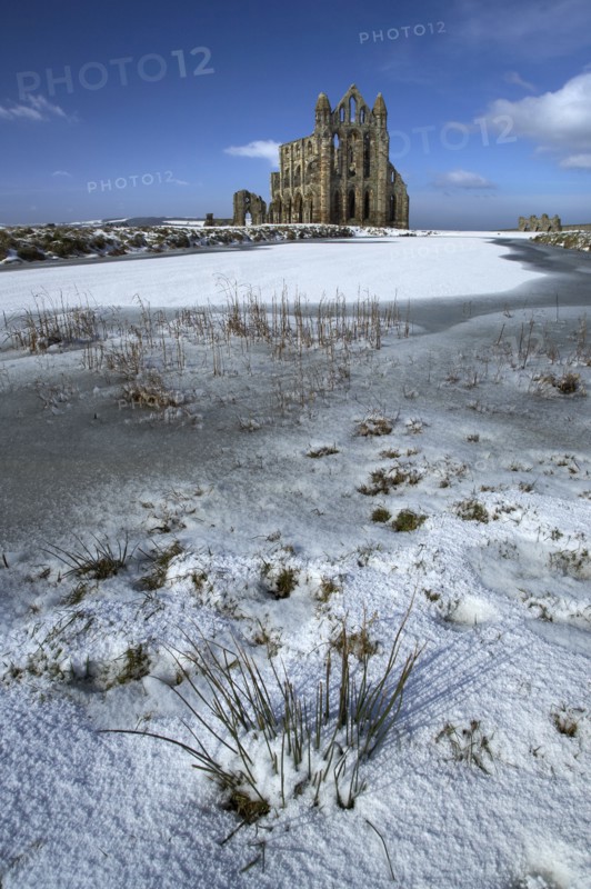 Whitby Abbey, North Yorkshire, 2006