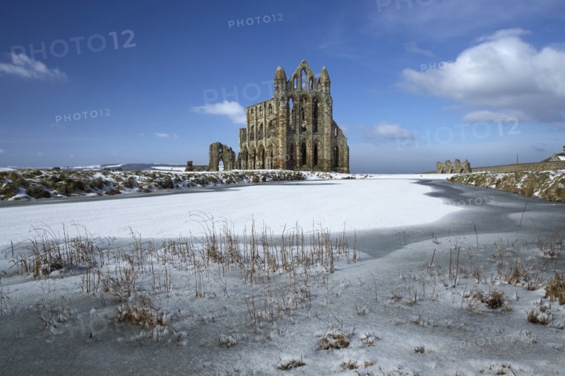 Whitby Abbey, North Yorkshire, 2006