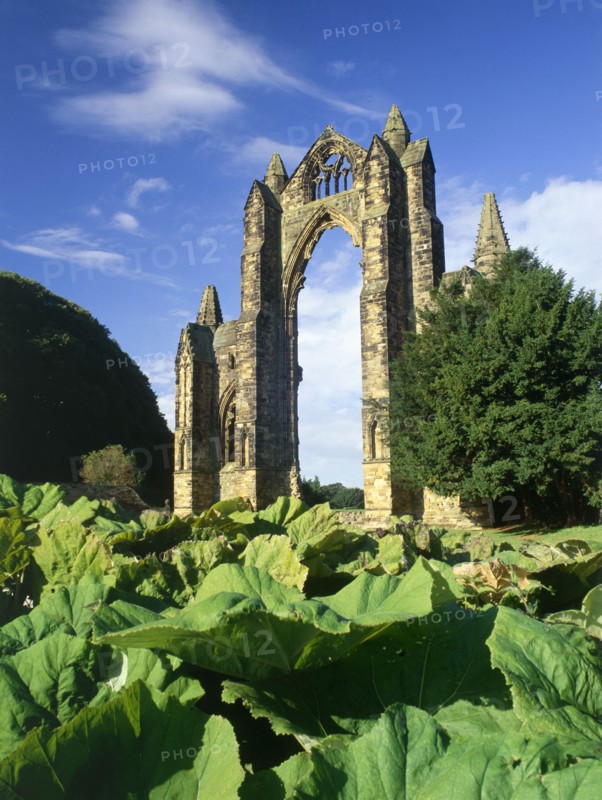 Gisborough Priory, Redcar and Cleveland, 2010
