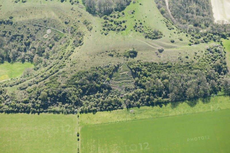 Chalk military badges near Sutton Down, Wiltshire, 2015. Creator: Historic England Staff Photographer.