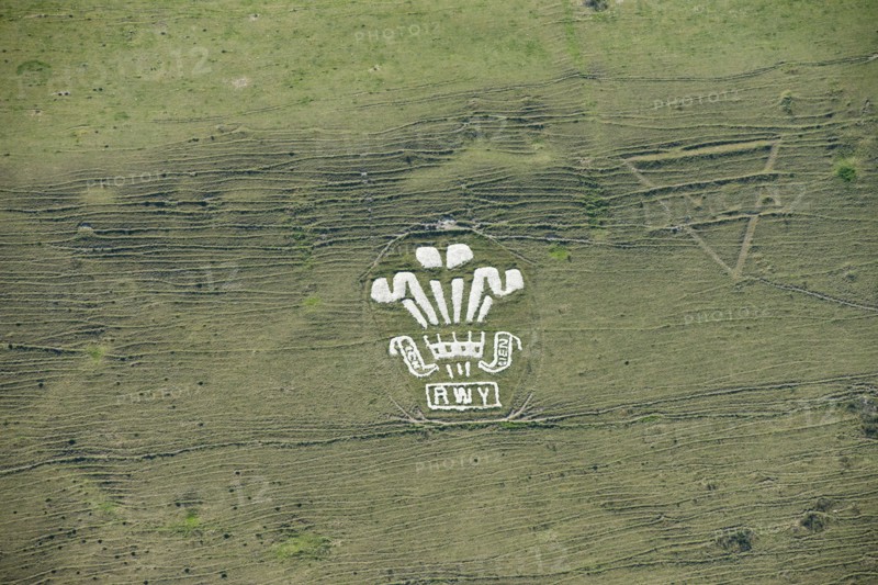 Chalk military badges, Fovant Down, Wiltshire, 2015