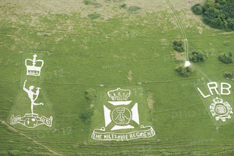 Chalk military badges, Fovant Down, Wiltshire, 2016