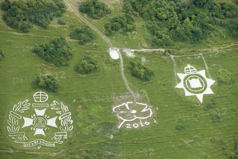 Chalk military badges, Fovant Down, Wiltshire, 2016