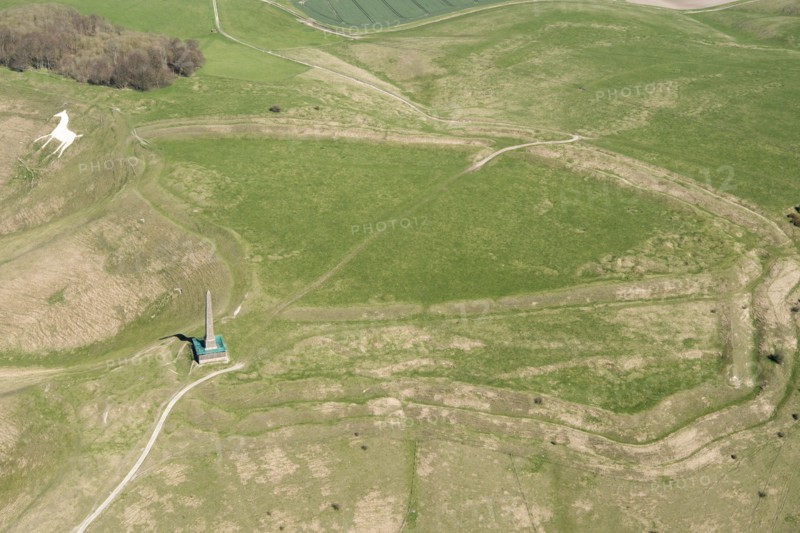 Cherhill Down, Wiltshire, 2018
