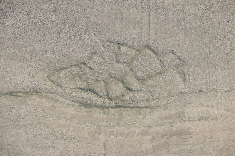 Romano-British enclosed settlement earthwork, Intake, Crosby Garrett Fell, Cumbria, 2014