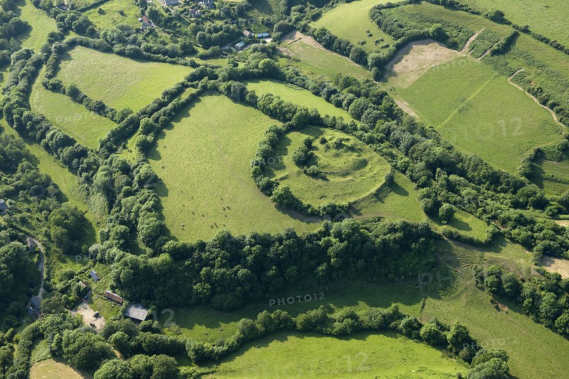 Earthwork remains of a motte and bailey castle near Powerstock, Dorset, 2014