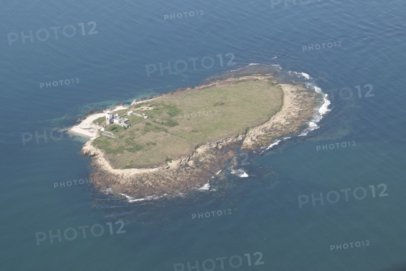 Coquet Island, near Amble, Northumberland, 2014