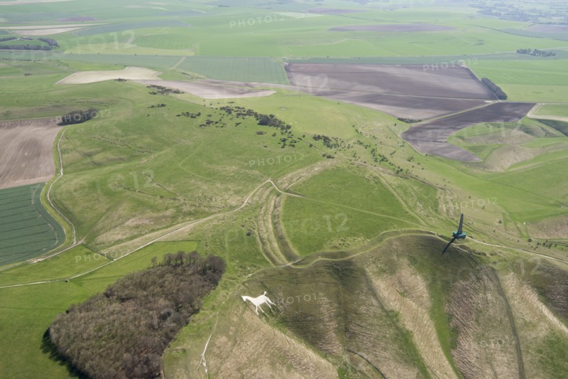 Cherhill Down, Wiltshire, 2018