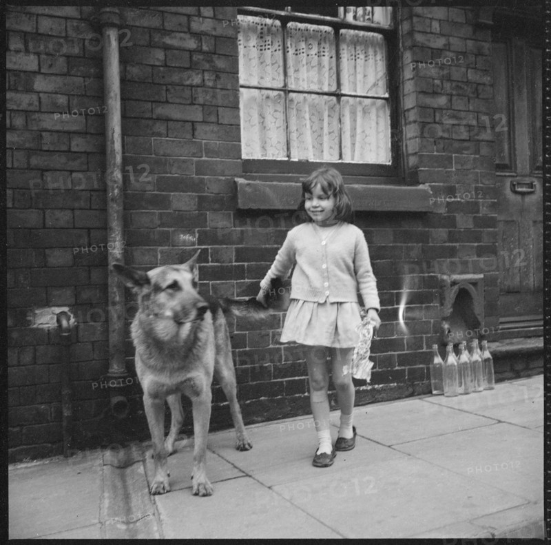 Girl and dog, Middleport, Burslem, Stoke-on-Trent, Staffordshire, 1965-1968