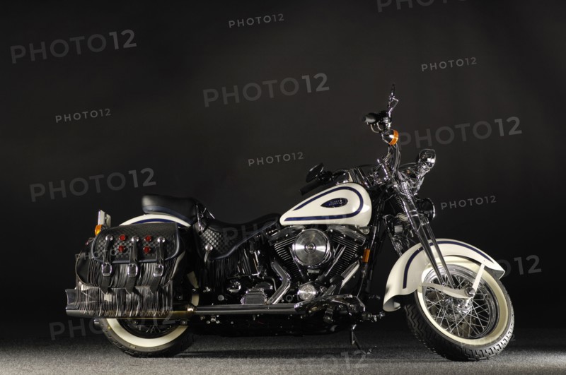 Harley Davidson soft tail springer 2005. Artist: Simon Clay.