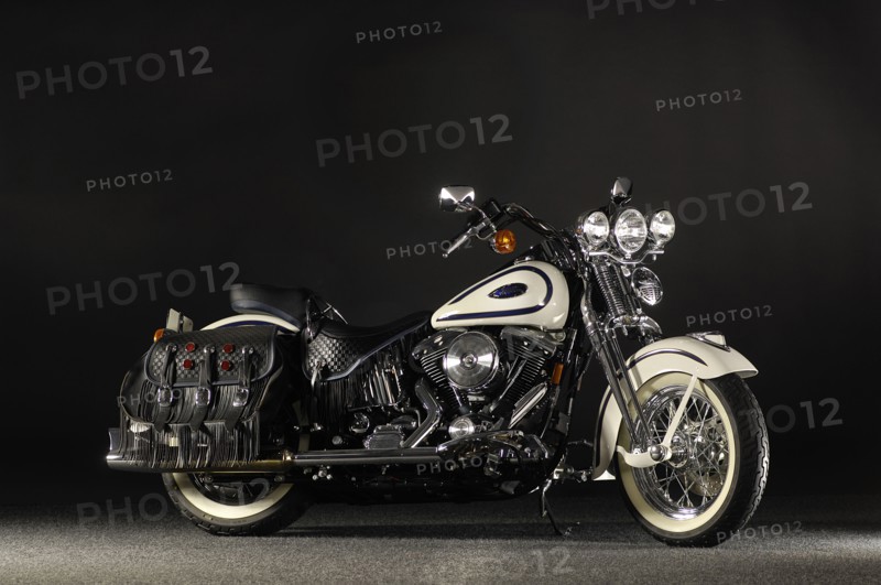 Harley Davidson soft tail springer 2005. Artist: Simon Clay.