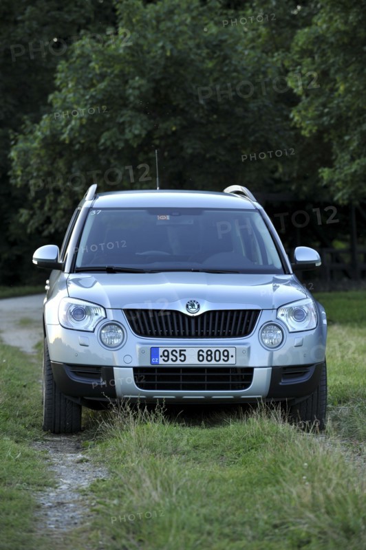 Skoda Yeti 2009. Artist: Simon Clay.