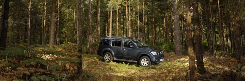 2005 Nissan Pathfinder 2.5 Tspec dci Artist: Unknown.